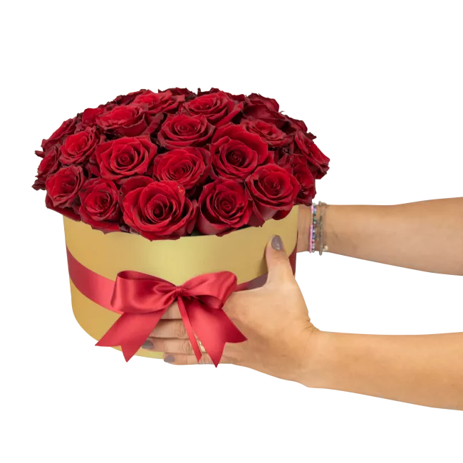 Box červených růží